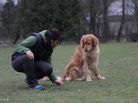 Bendix Obedience Workshop beim VdH Mauer 2016 (60)